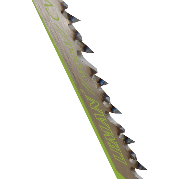 Carte 2 lames de scie sabre