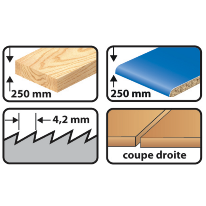 Carte 5 lames de scie sabre