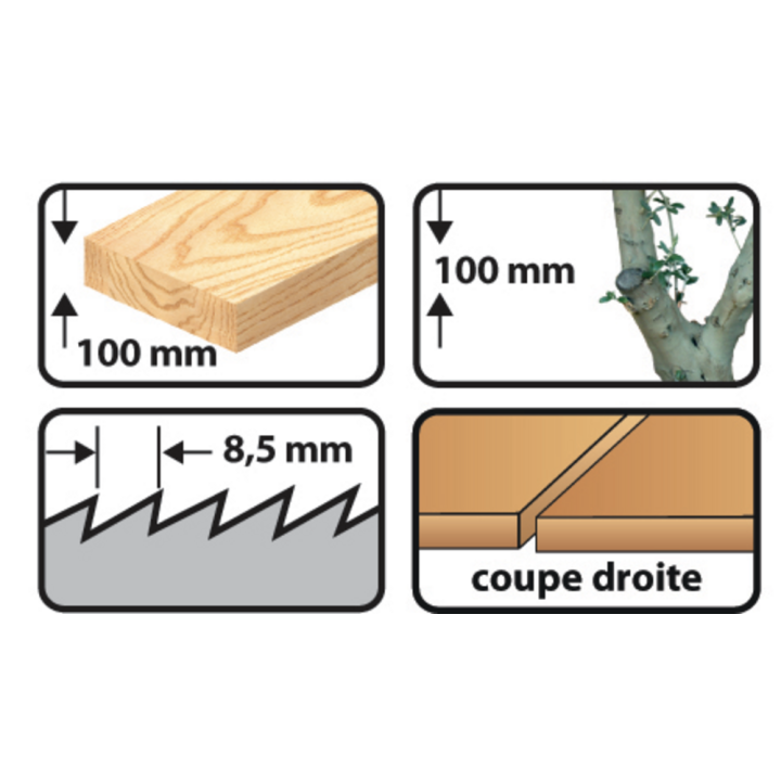 Carte 5 lames de scie sabre