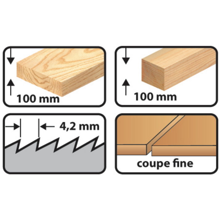 Carte 5 lames de scie sabre coupe plongeante