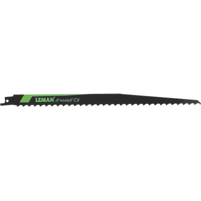 Carte 2 lames de scie sabre
