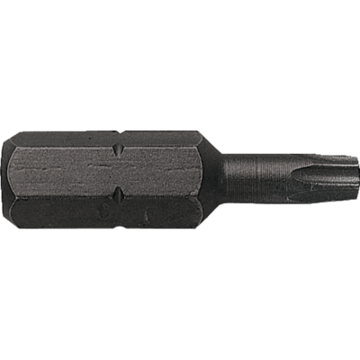 Punta de destornillador serie 14'' - torx perforado