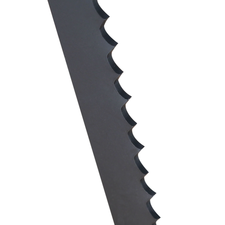 Carte 2 lames de scie sabre