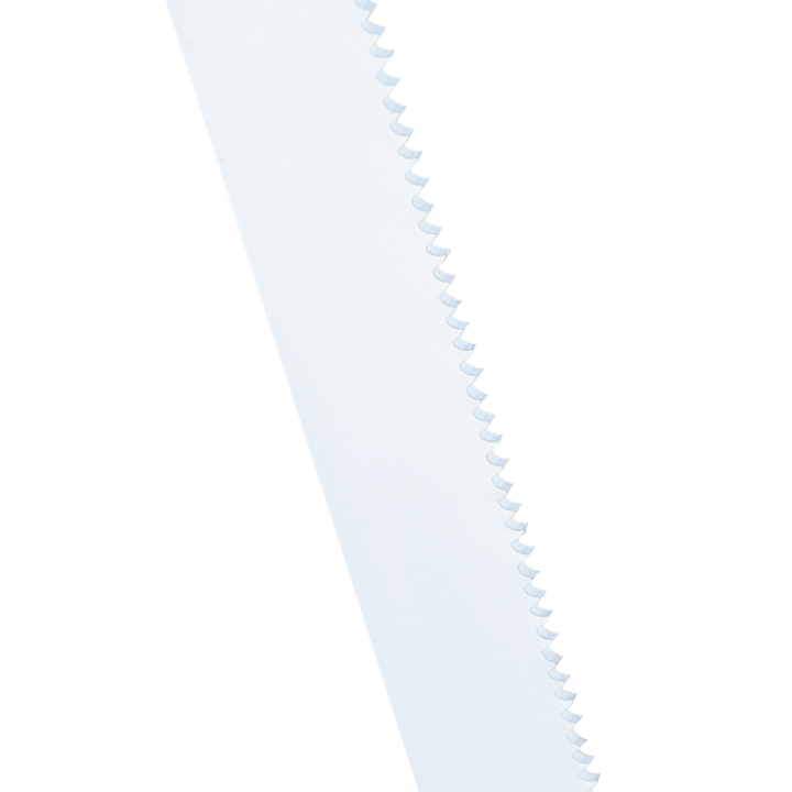 Carte 2 lames de scie sabre