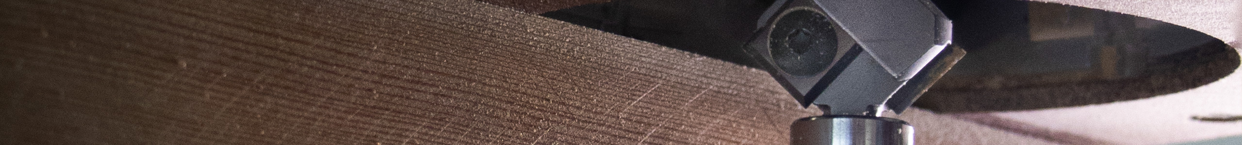 FRESAS CON PLAQUITAS