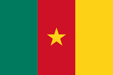 La bandera de Camerún